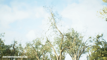 Orbital bombardment of Stonehill